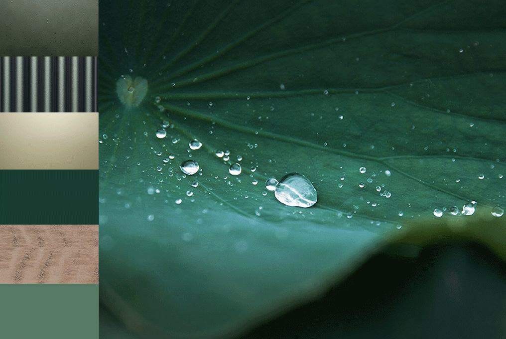 BALANCE COLOURS COLLECTION | RAINFOREST — composition