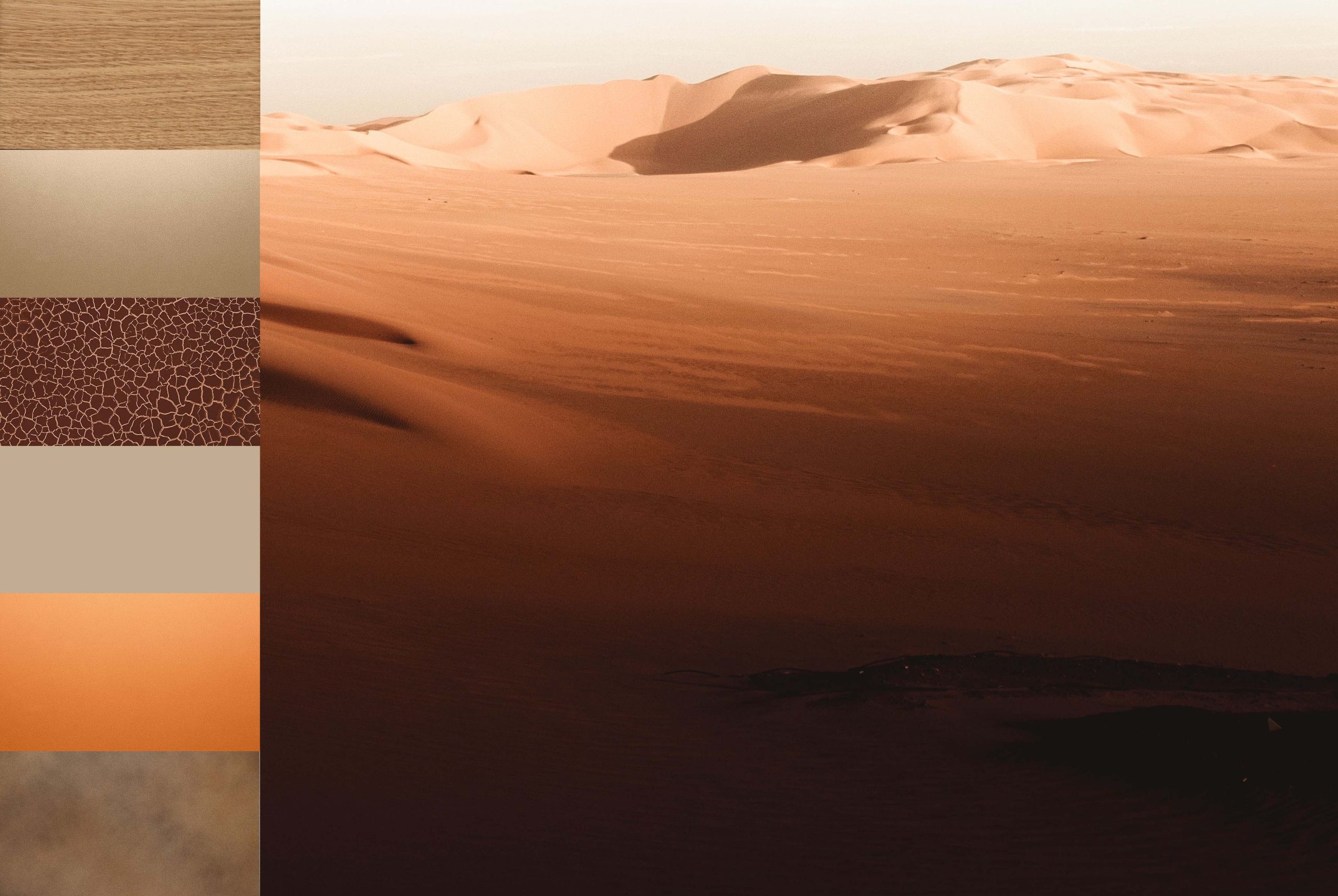 BALANCE COLOURS COLLECTION | SAVANNAH — composition