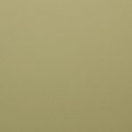 VELLUMAT LACQUERED CHAMOIS