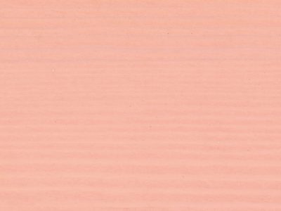 IM538C56 ROSA PESCA