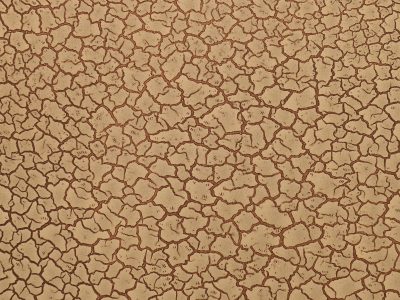 EFECT CRACKLE WILD BRONZE