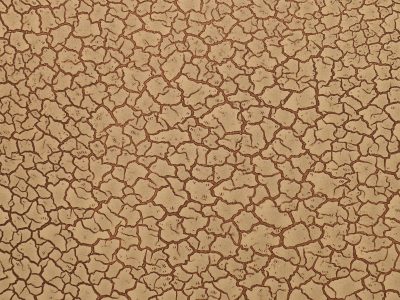 EFECT CRACKLE WILD BRONZE