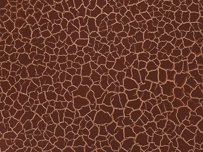 EFECT CRACKLE WILD COPPER