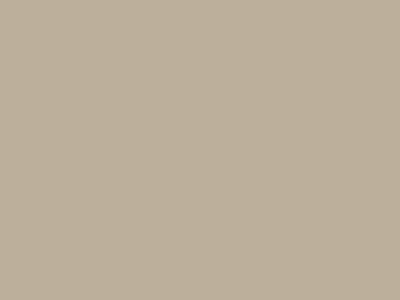 N0124 BEIGE CINESE