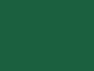 N0197 VERDE PAMPA