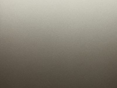 MP N80036 BRONZITE 2