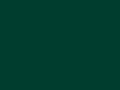 RAINFOREST
