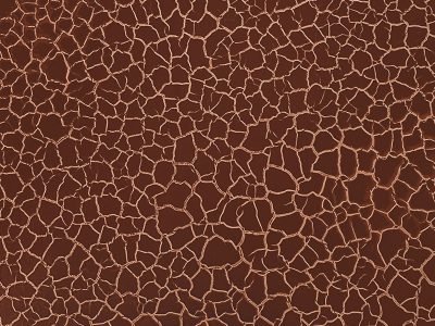 WILD COPPER CRACKLE
