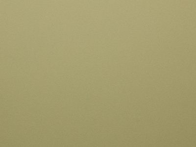 VELLUMAT LACQUERED CHAMOIS